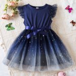 Blue Star Frock